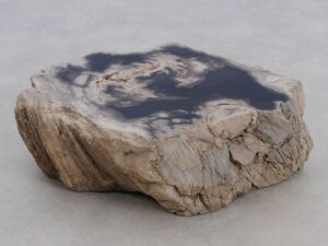 Grafsteen versteend hout 48187