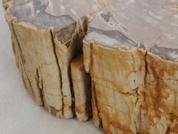 Grafsteen versteend hout 48311