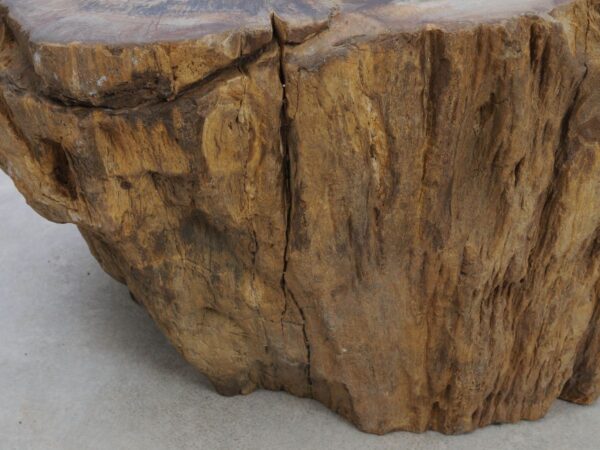 Grafsteen versteend hout 48348