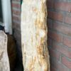 Grafsteen versteend hout 48363