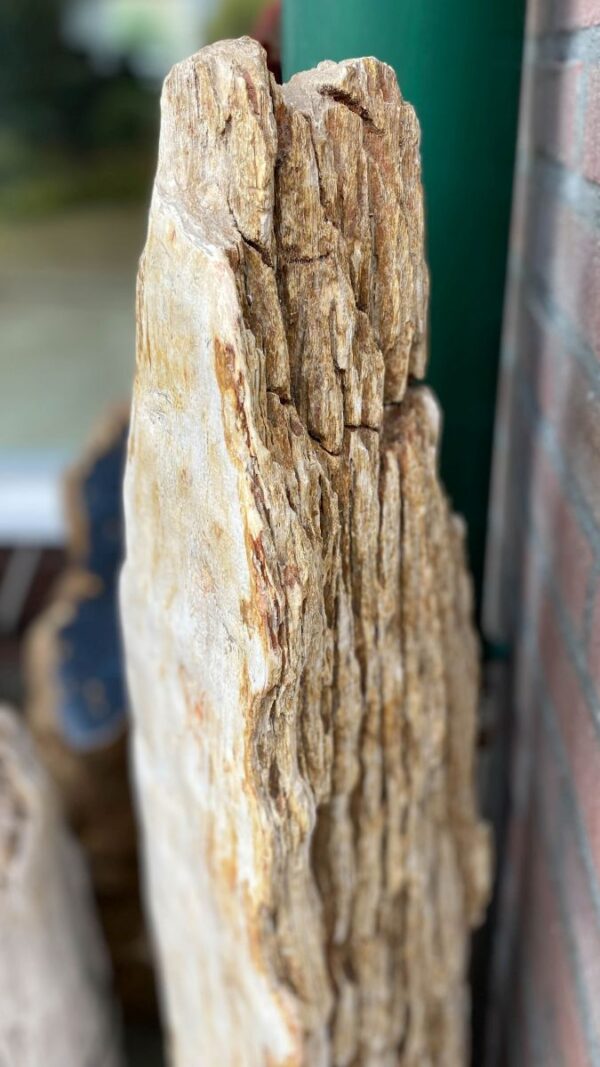 Grafsteen versteend hout 48363