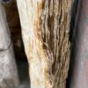 Grafsteen versteend hout 48363