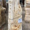 Lápida madera petrificada 48068