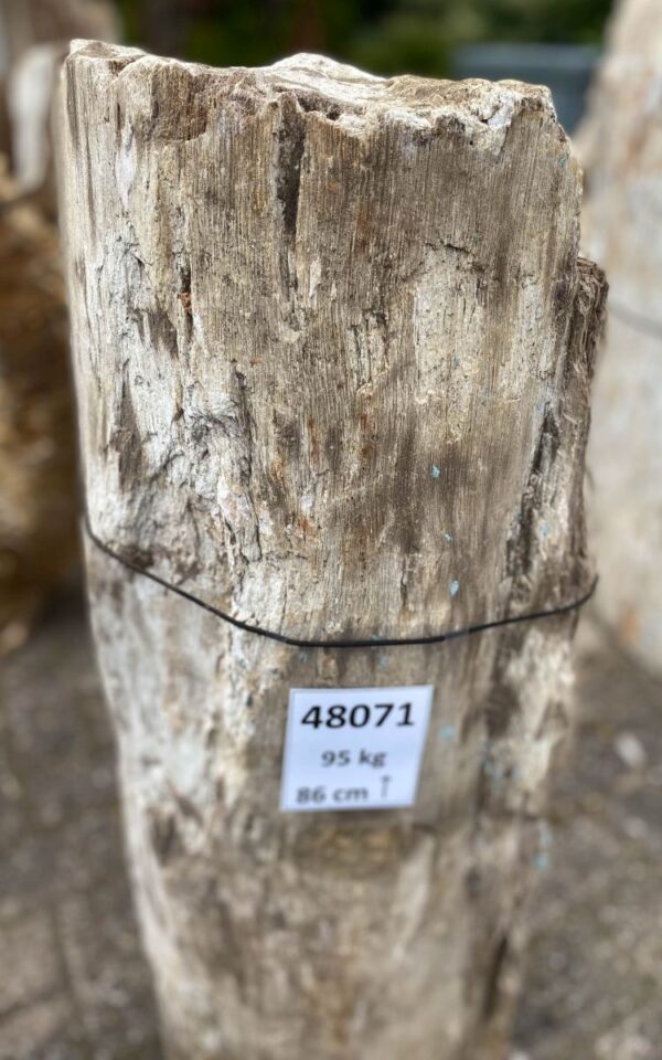 Lápida madera petrificada 48071