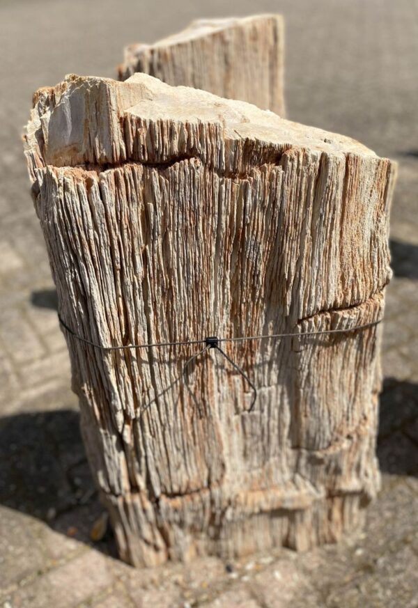 Lápida madera petrificada 48074