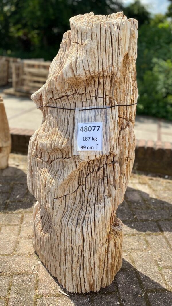 Lápida madera petrificada 48077