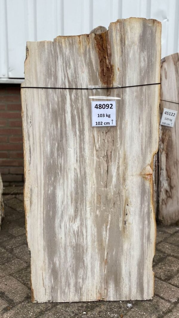 Lápida madera petrificada 48092