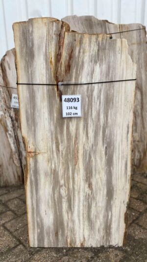 Lápida madera petrificada 48093