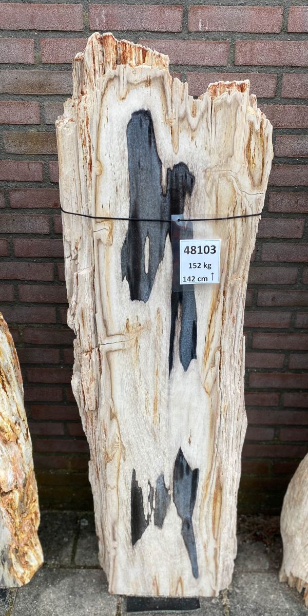 Lápida madera petrificada 48103