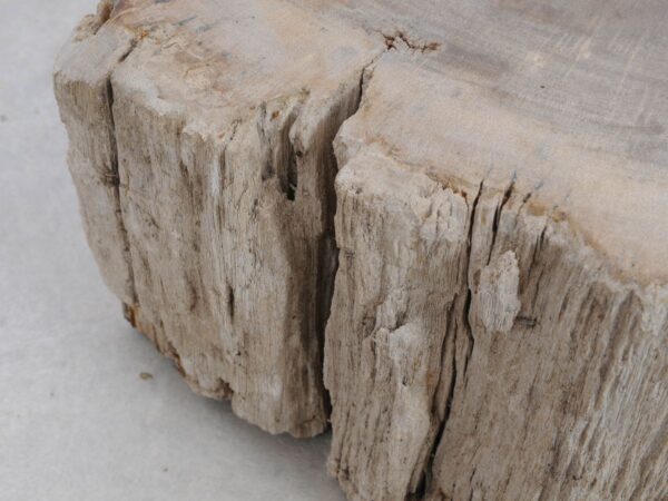 Lápida madera petrificada 48115