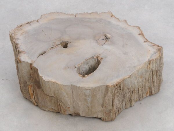 Lápida madera petrificada 48116