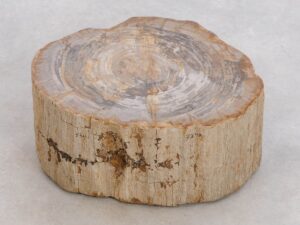 Lápida madera petrificada 48124