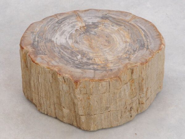 Lápida madera petrificada 48124