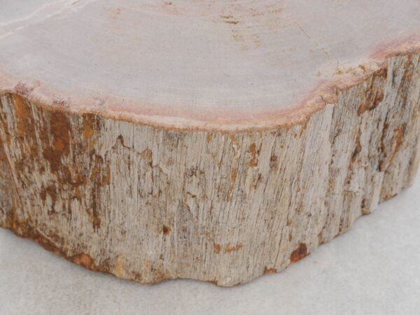 Lápida madera petrificada 48183a