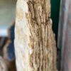 Lápida madera petrificada 48363