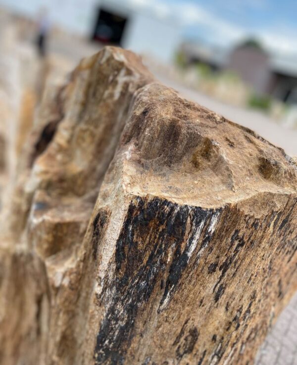 Memorial stone petrified wood 48059