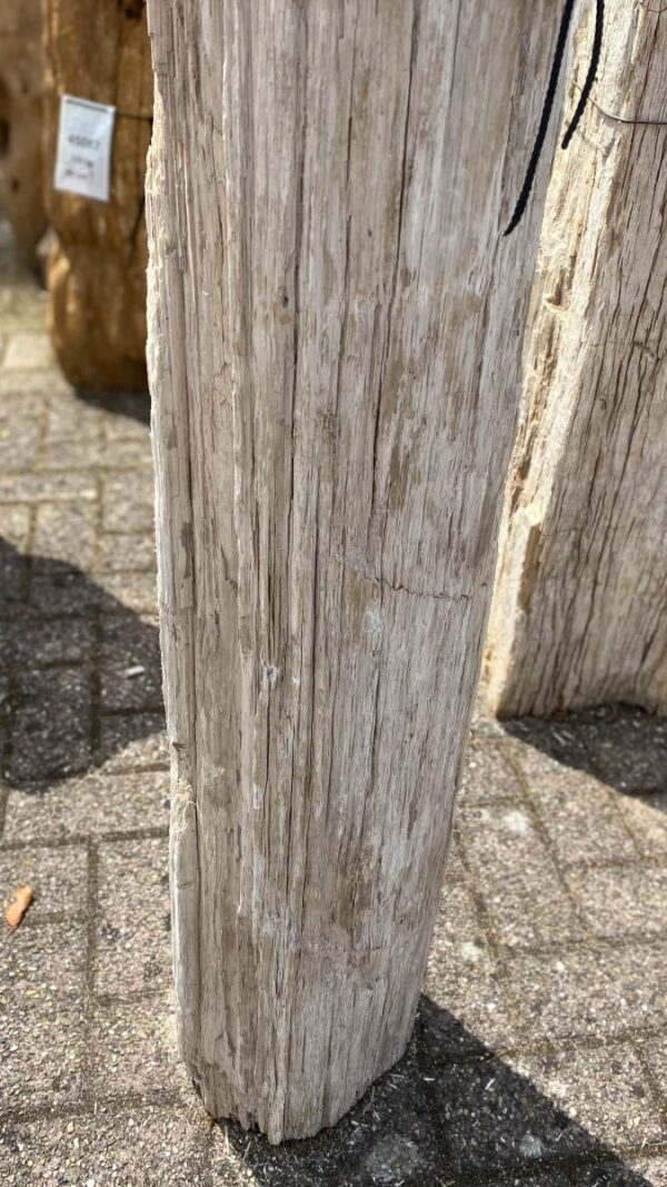 Memorial stone petrified wood 48060