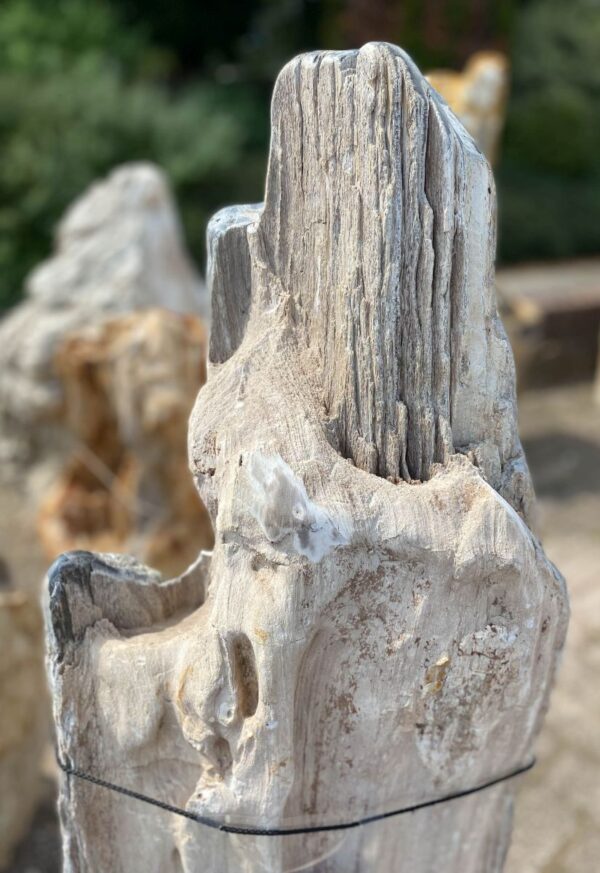 Memorial stone petrified wood 48061