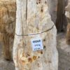 Memorial stone petrified wood 48068
