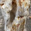 Memorial stone petrified wood 48068