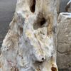 Memorial stone petrified wood 48068