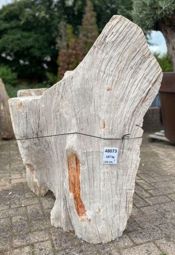 Memorial stone petrified wood 48073