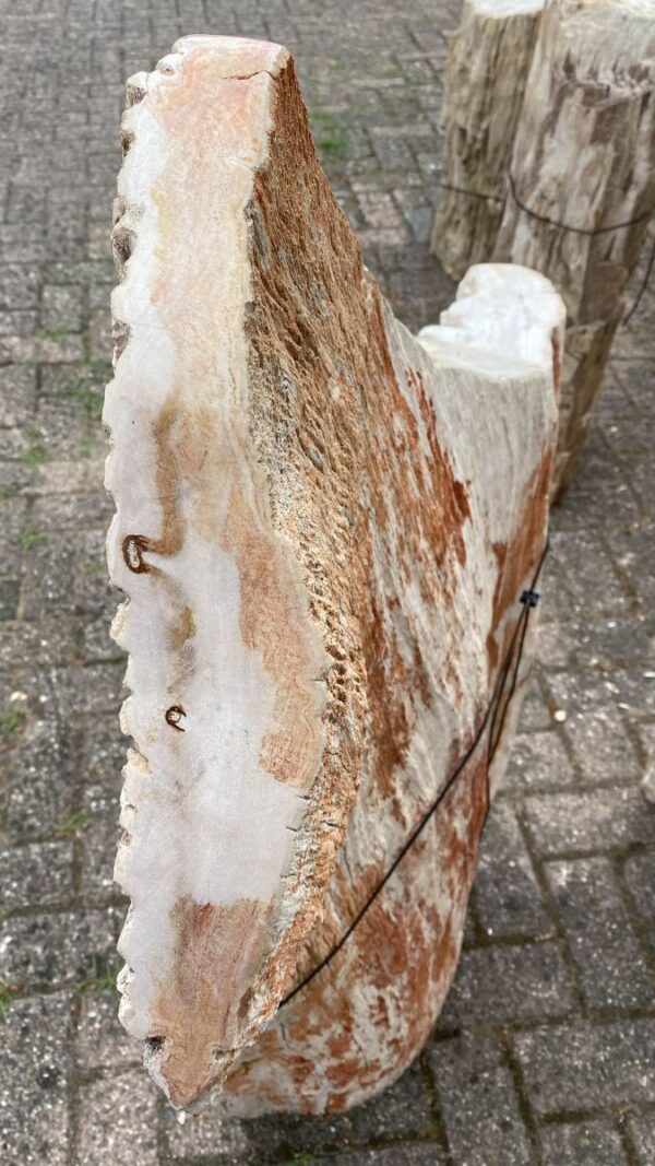 Memorial stone petrified wood 48073