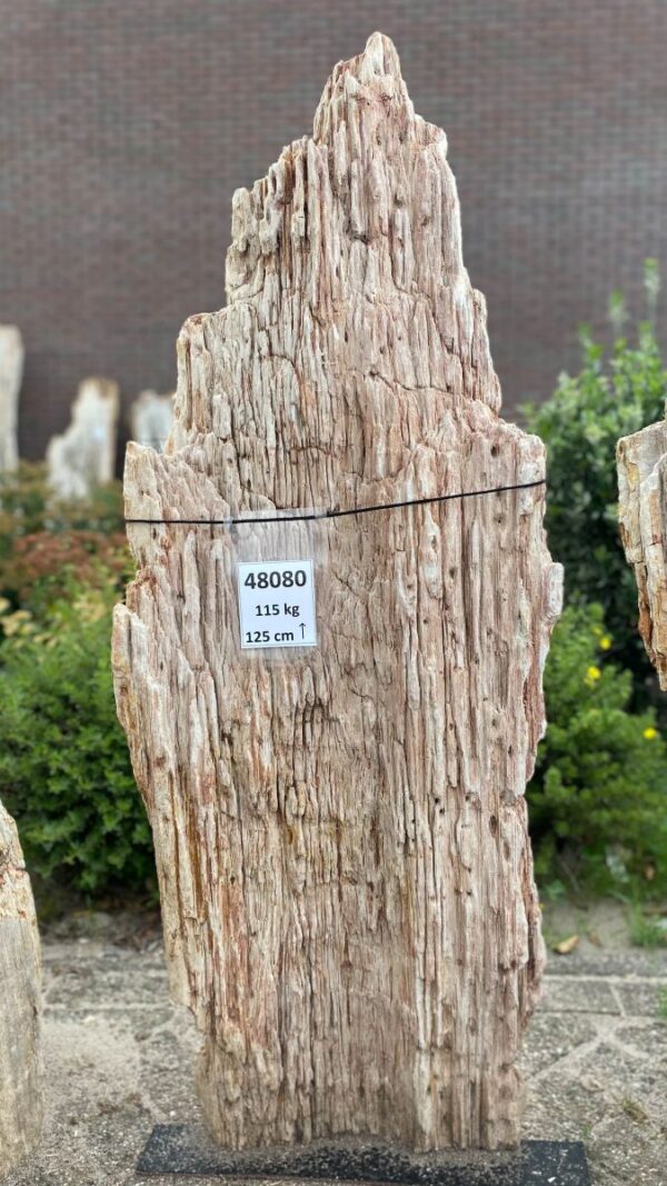 Memorial stone petrified wood 48080