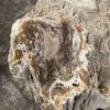 Memorial stone petrified wood 48085