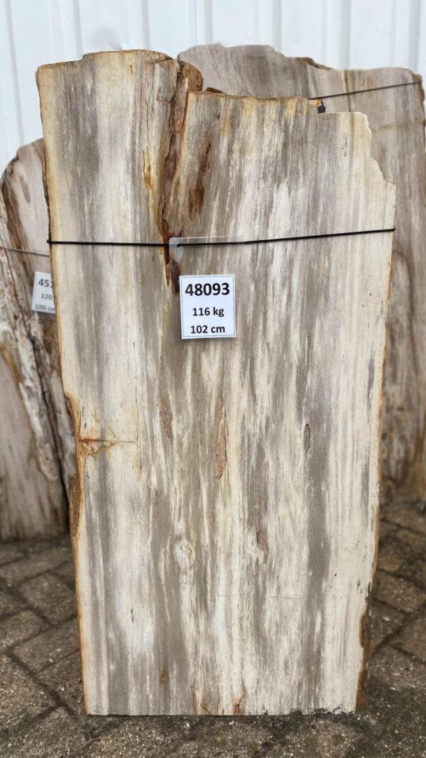 Memorial stone petrified wood 48093