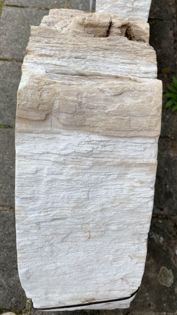 Memorial stone petrified wood 48100