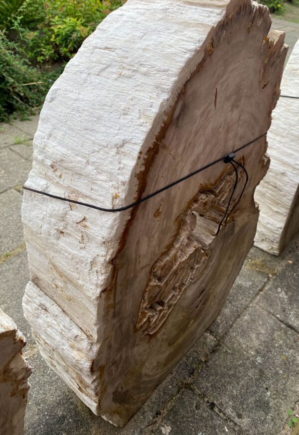 Memorial stone petrified wood 48100