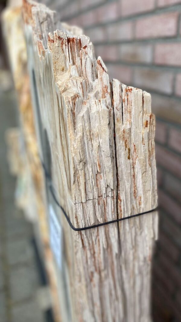 Memorial stone petrified wood 48103