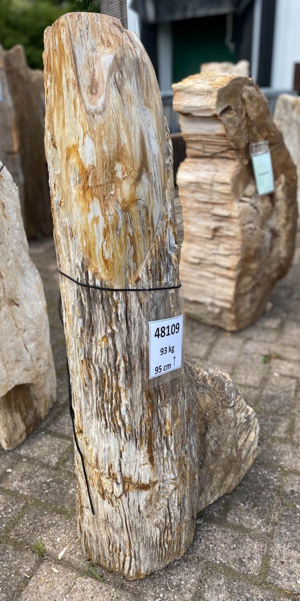 Memorial stone petrified wood 48109