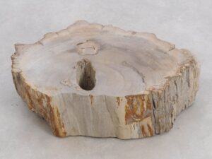 Memorial stone petrified wood 48115