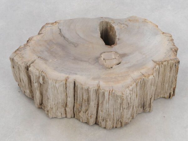 Memorial stone petrified wood 48115