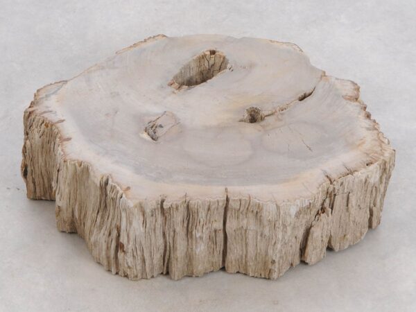 Memorial stone petrified wood 48116