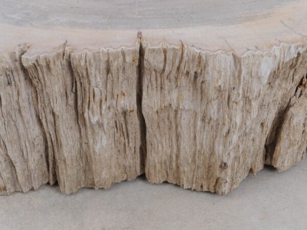 Memorial stone petrified wood 48116