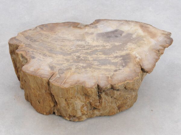 Memorial stone petrified wood 48118