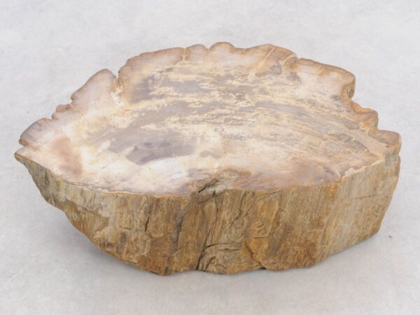 Memorial stone petrified wood 48118
