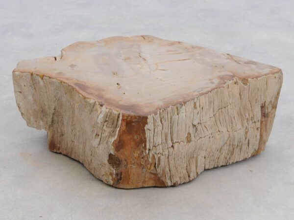 Memorial stone petrified wood 48119