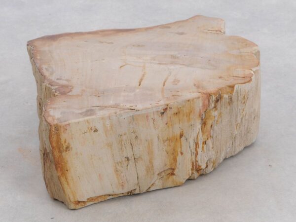 Memorial stone petrified wood 48119