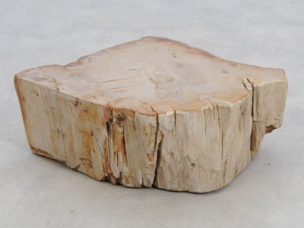 Memorial stone petrified wood 48119