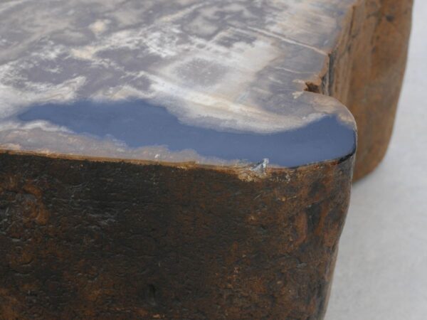 Memorial stone petrified wood 48120