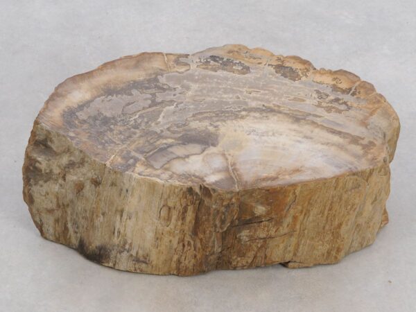 Memorial stone petrified wood 48122