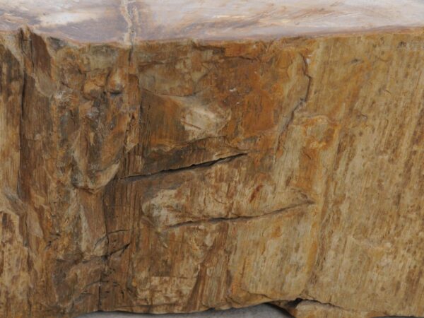 Memorial stone petrified wood 48122