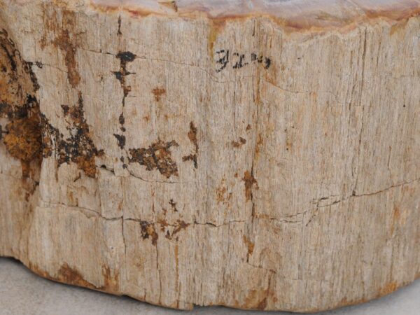 Memorial stone petrified wood 48124