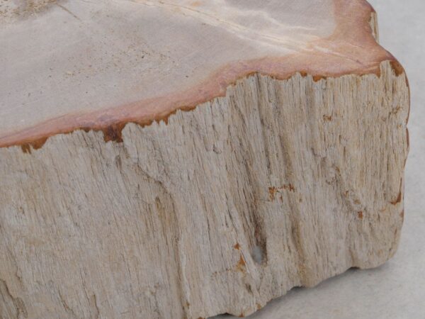 Memorial stone petrified wood 48183