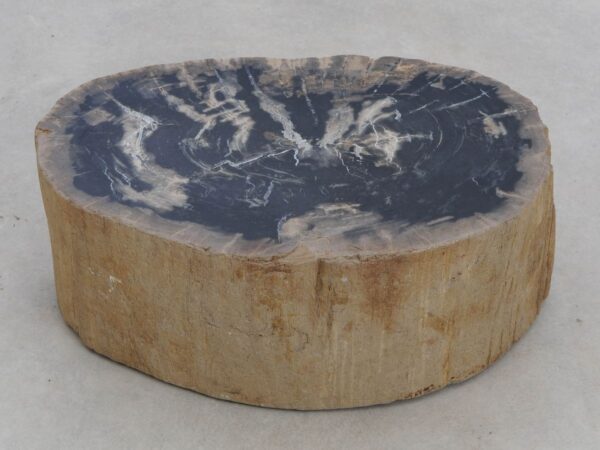 Memorial stone petrified wood 48189