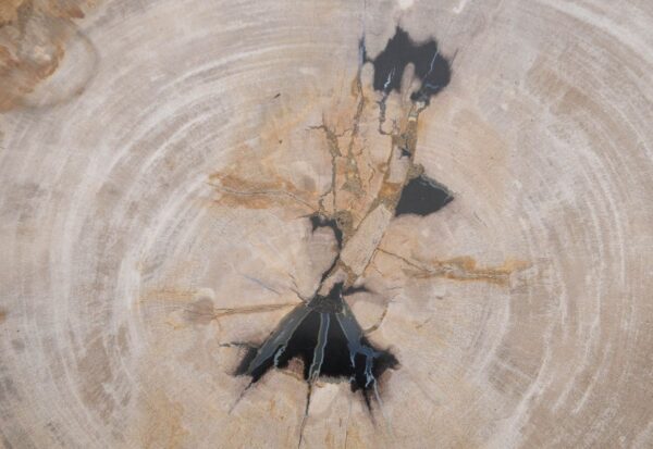 Mesa de centro madera petrificada 48155